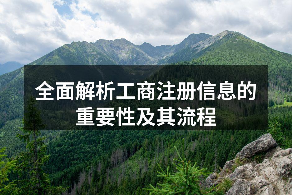 全面解析工商注册信息的重要性及其流程