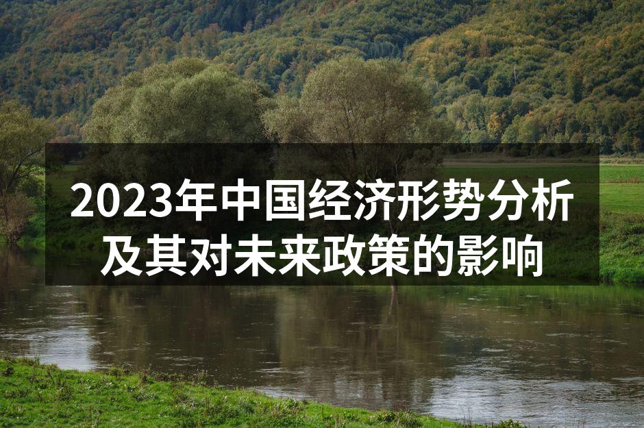2023年中国经济形势分析及其对未来政策的影响