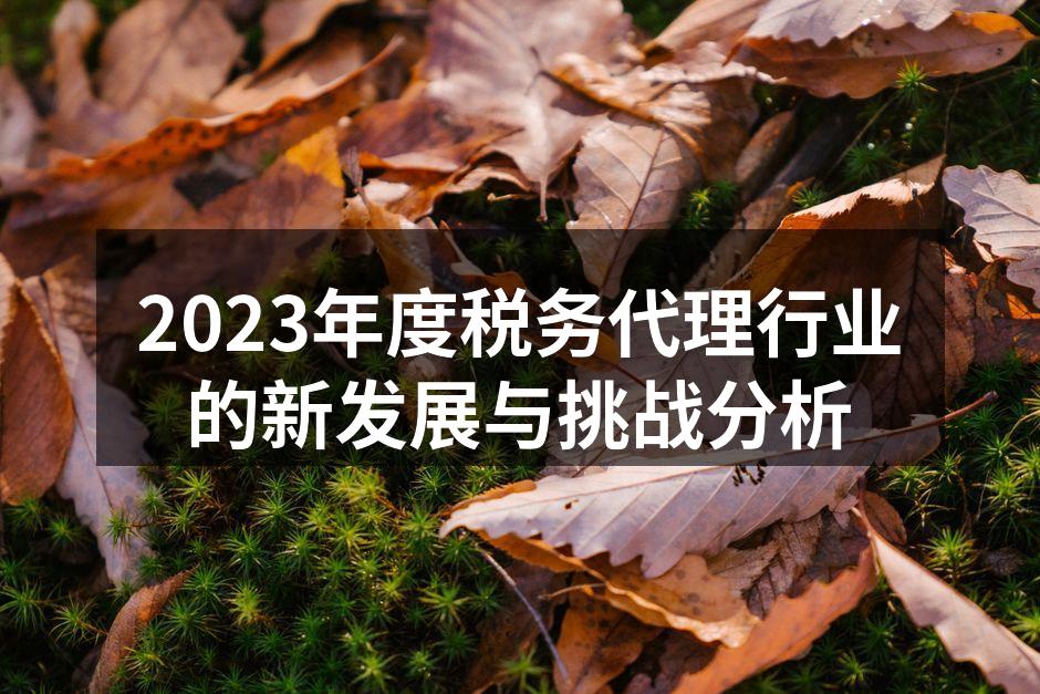 2023年度税务代理行业的新发展与挑战分析