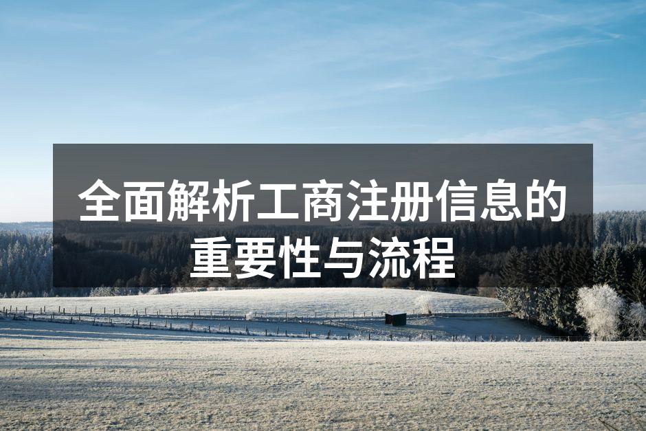 全面解析工商注册信息的重要性与流程