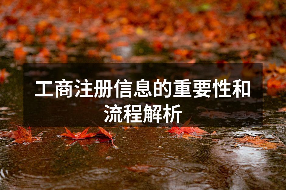 工商注册信息的重要性和流程解析