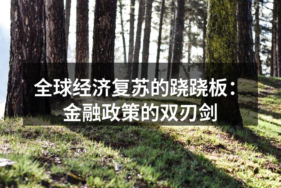 全球经济复苏的跷跷板：金融政策的双刃剑