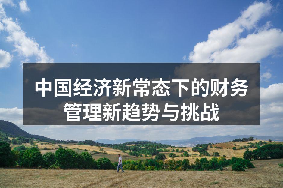 中国经济新常态下的财务管理新趋势与挑战