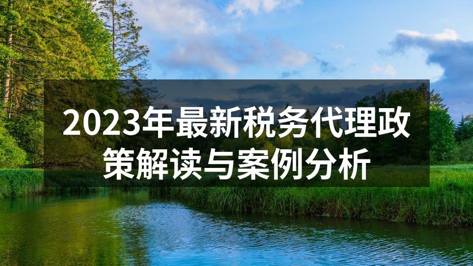 2023年最新税务代理政策解读与案例分析