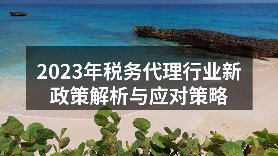 2023年税务代理行业新政策解析与应对策略