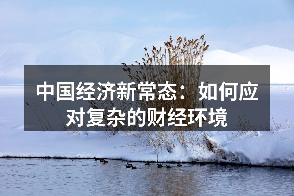 中国经济新常态：如何应对复杂的财经环境
