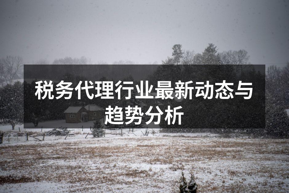税务代理行业最新动态与趋势分析