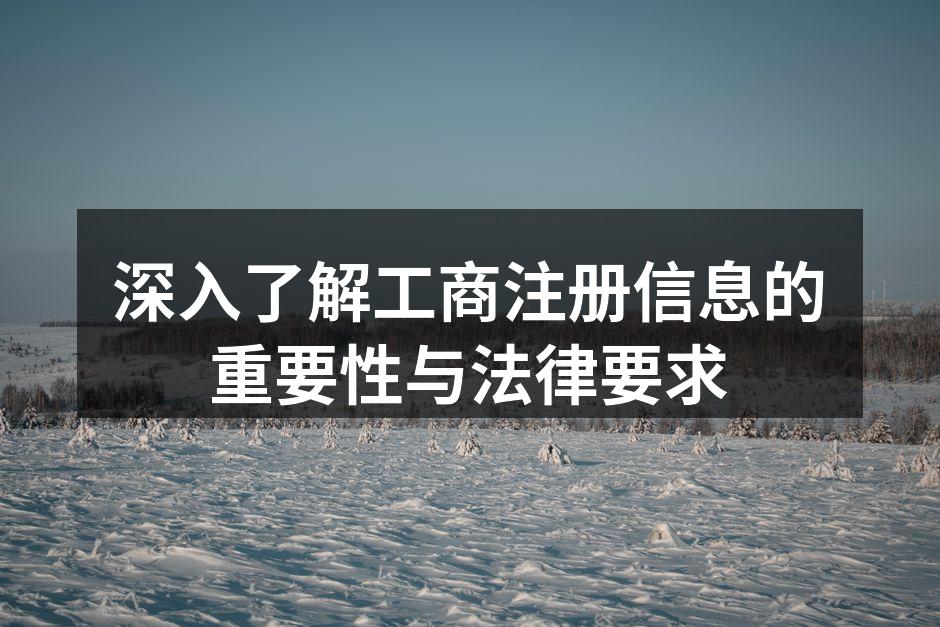 深入了解工商注册信息的重要性与法律要求