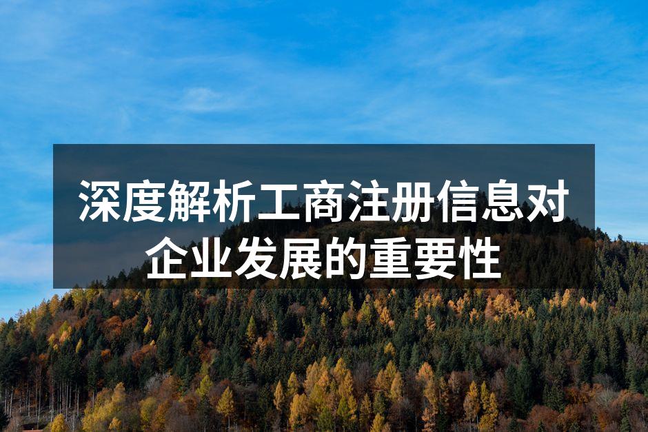 深度解析工商注册信息对企业发展的重要性